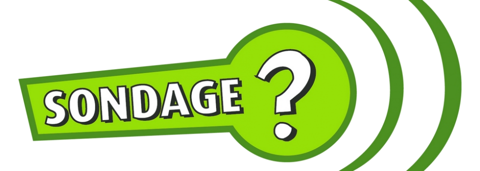 Sauna Club Abysse Alençon - Information générale : Sondages - 2017-06-01T14:00:00 - 2017-12-31T14:00:00
